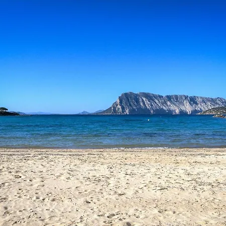 公寓 Luxrent Villa Smeralda Pool And Beach