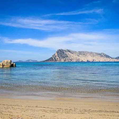 公寓 Luxrent Villa Smeralda Pool And Beach