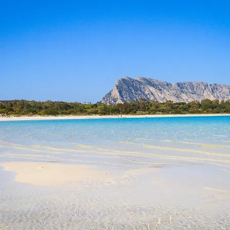 公寓 Luxrent Villa Smeralda Pool And Beach