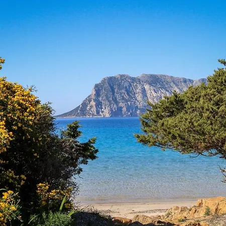 公寓 Luxrent Villa Smeralda Pool And Beach