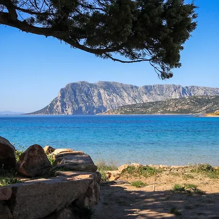 公寓 Luxrent Villa Smeralda Pool And Beach *