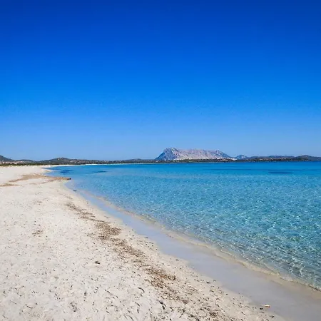 Luxrent Villa Smeralda Pool And Beach Apartment Capo Coda Cavallo