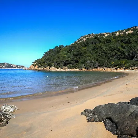 Apartment Luxrent Villa Smeralda Pool And Beach Capo Coda Cavallo